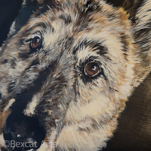 Artwork commission of pet dog - Bexcat Arts